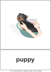 Bildkarte - puppy.pdf